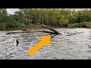 Stop Your Livescope Addiction…Fish THESE Shallow Summer Areas…(On The Water Demo)