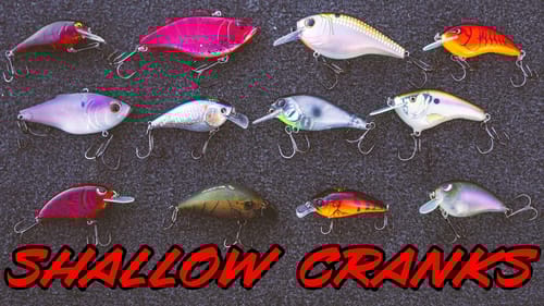 BUYER'S GUIDE: CRANKBAITS - SQUAREBILLS, LIPLESS CRANKS, AND CRANKBAIT RODS