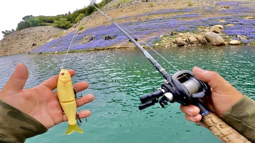Catching Spotted Bass with S-Wavers | I Couldn't Put this Glide Bait Down!!