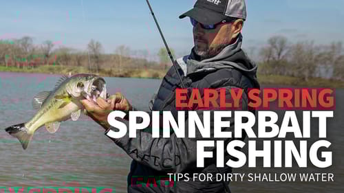 EARLY Spring Spinnerbait Fishing: How to Catch Bass in DIRTY Shallow Water!