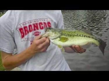 Nice Male Bass on a Crankbait (5/20/10)