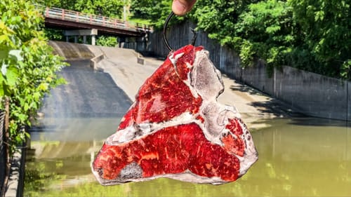 The BIGGEST One I've EVER Seen Lives In This FORBIDDEN Spillway!!!