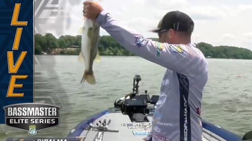 PICKWICK: DiPalma upgrading to try and stay in the Top 10