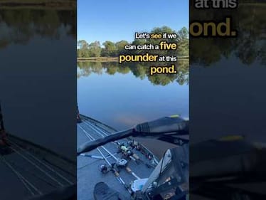Searching for the Elusive Five-Pound Bass Hidden In This Pond! #fishing #bassfishing