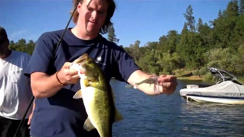 Swim Jig Techniques