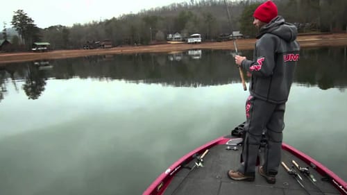 Why to Fish Spots Using Line-ups