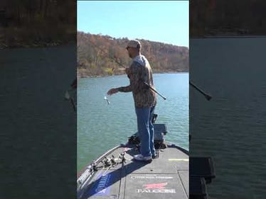 Smallmouth Like to Eat Buzzbaits Too!