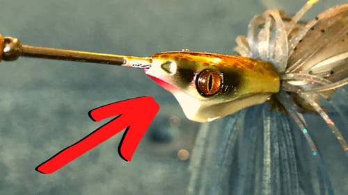 Is This The BEST FALL LURE??  (Jamaica BOA)