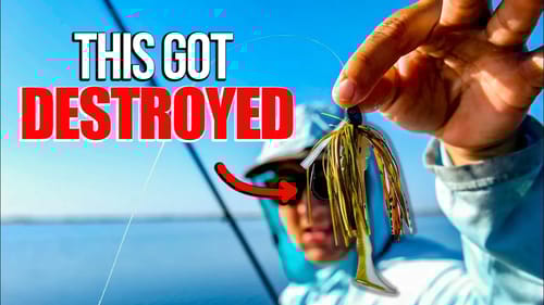 Crushing Bass Fishing a New Body of Water!