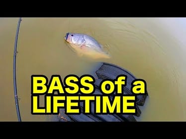 You WON’T BELIEVE the WEIGHT of this URBAN BASS!!