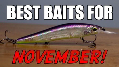 Top 3 BAITS For NOVEMBER Bass Fishing!