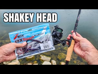 Shakey Head CATCHES Late Summer Bass (Bank Fishing)