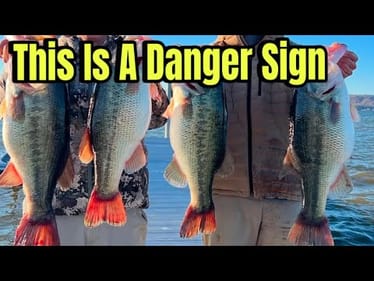 What Happened On Lake Guntersville Yesterday Should Disturb EVERY Bass Angler In America…