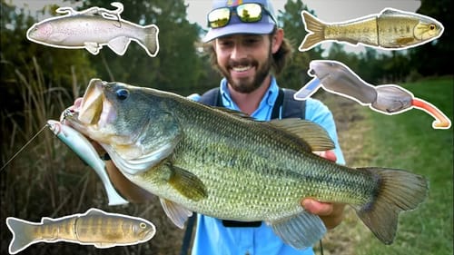 BIG Swimbaits + Giant Bass + Catfish + Gar + Sharks = Best (and Worst) moments from 2017