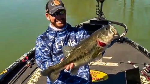 Top 5 BIGGEST BASS Caught Video Compilation