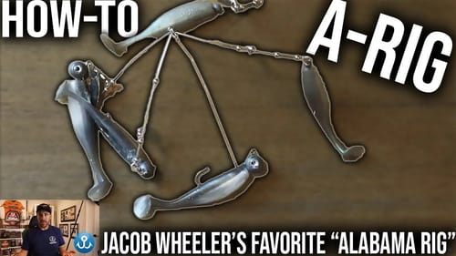 My Favorite A-Rig: How-To Rig "The Alabama Rig" to Catch EVERY Fish