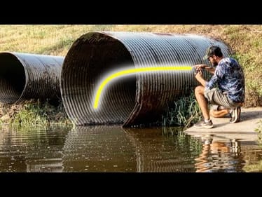 HUGE MYSTERY CREATURE caught in URBAN CREEK!