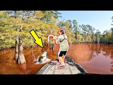 GIANT Fall Bass Obviously haven't Seen THIS Lure in YEARS...