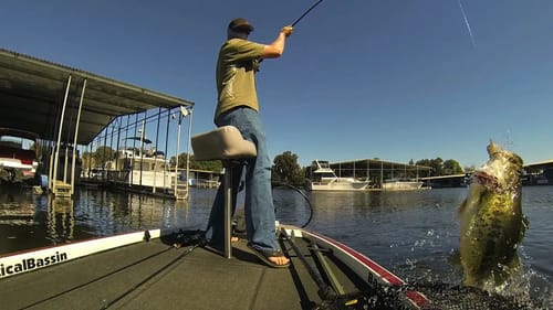 Huge Limits on the River2sea S-Waver 200