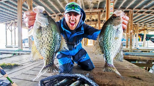 CRAPPIE LOVE MARINA DOCKS! Jigging For BIGS!