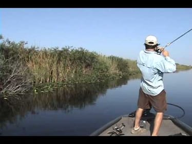 everglades 7 13 4lbs koppers frog 001