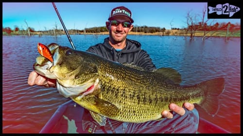 How to Catch More Winter Bass with Lipless Crankbaits