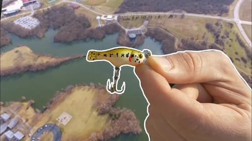 TINY Lures in a BIG Lake!?