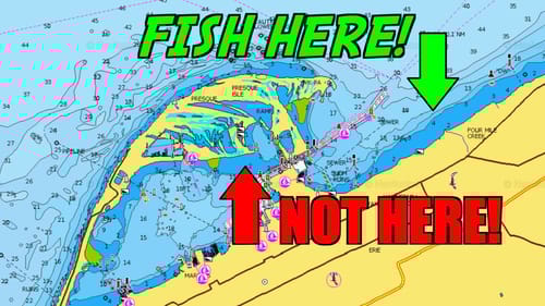 Catch MORE Post Spawn Bass by Fishing HERE!
