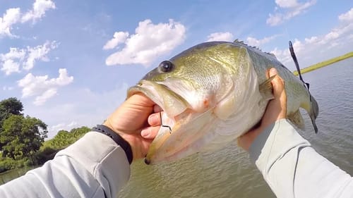 How you Know it's a BIG BASS!!