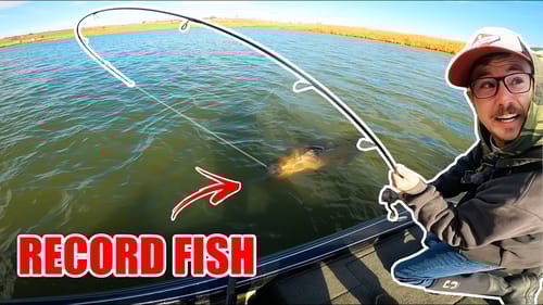 The BIGGEST FISH EVER CAUGHT On My Boat!!! --Impossible Catch on 10 lb Line!