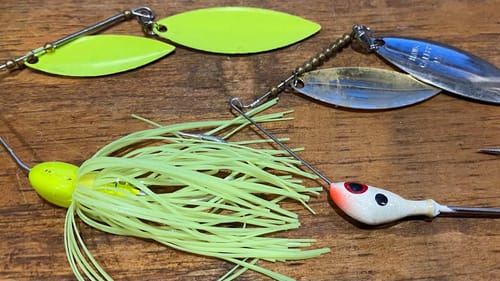 My Secrets Of Painted vs. Silver/Gold Spinnerbait Blades In The Pre-Spawn