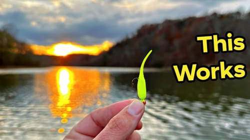 This Little Lure Catches nice SURPRISE...