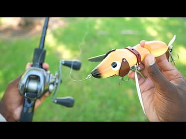 Fishing With This Crazy JAPANESE Dog Lure! (Surprise Catch!)