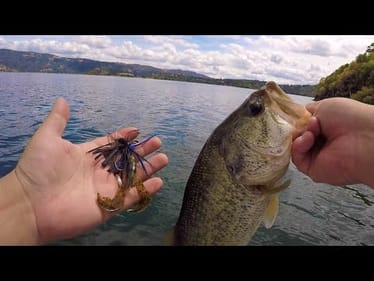Burning Drag & Going Full Bendo on a Clearlake Toad Trip | Met Some Awesome Bass Union Subscribers