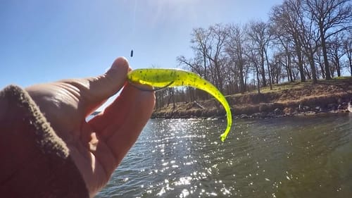 Bass Baits for Tough Fishing Days