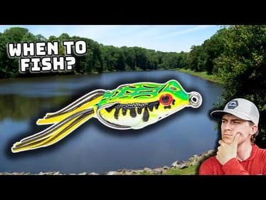 WHEN To Fish A Topwater Frog For Bass! (AND When NOT TO)