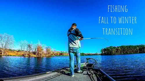 Bass Fishing With SPINNERBAITS For TRANSITIONING Fall Bass!! || Late Fall Bass Fishing