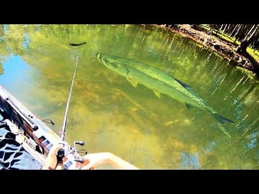 The SMALLEST CREEKS have the BIGGEST FISH!!!
