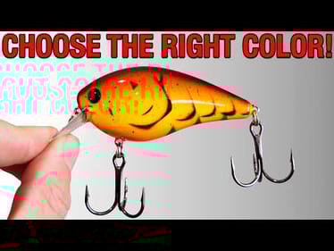 Fishing Lure Colors that ACTUALLY Catch Fish!