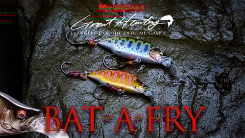 Why This New Japanese BFS Bait Will Get You More Bites! Great Hunting Bat A Fry Breakdown!