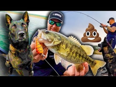 I Took My Crazy Dog Fishing And He 💩 Pooped On The Boat