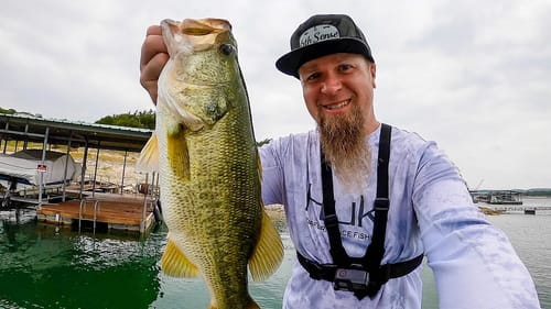 End Of Summer Topwater Bite Kicks ON! 6th Sense Catwalk Does Damage!