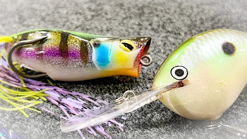 Where Do Bass Go In Summer?! (And The Tricks That Catch Them)