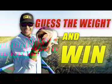 Guess the Weight Challenege