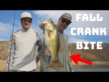 This Might Be The Best Mid Diving Crankbait Ever Made! Fall Crankbait Bite!