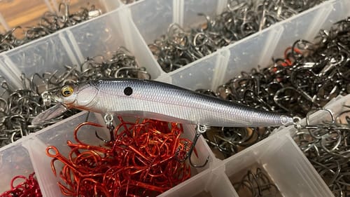 This Is Why Most Anglers Lose/Miss Bass On Jerkbaits