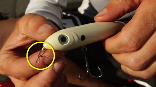 Use a Snap to Enhance Topwater Action