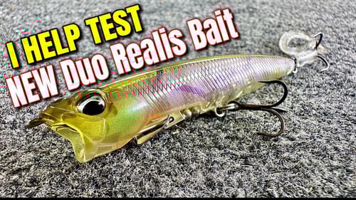 NEW Bait From Duo Realis - I helped Test- Heartbee75