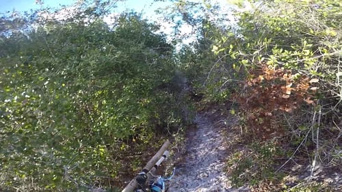 Rattlesnakes and Hiking for Fish