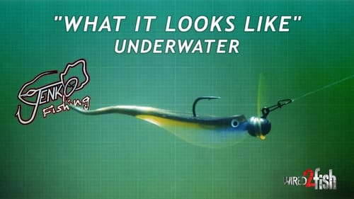 Jenko Tremor Shad and Tremor Head | What it Looks Like Underwater